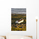Bunbeg, County Donegal, Ireland Wall Mural