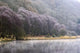 Lower Lake, Glendalough, County Wicklow, Ireland Wall Mural