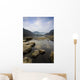 Frosty Winter's Morning Wall Mural