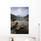 Frosty Winter's Morning Wall Mural