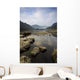 Frosty Winter's Morning Wall Mural