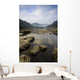Frosty Winter's Morning Wall Mural