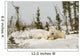 Polar Bear With Cub In Snow Wall Mural