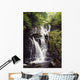 Torc Waterfall, Killarney, Co Kerry, Ireland Wall Mural