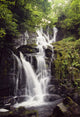 Torc Waterfall, Killarney, Co Kerry, Ireland Wall Mural