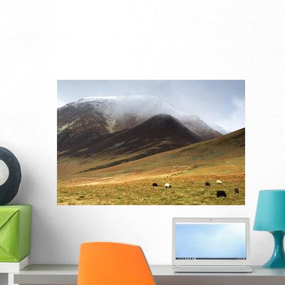 Sheep Pasture Lake District Wall Mural shown on a wall