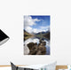 Mountains And Lake, Lake District, Cumbria, England Wall Mural