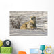 Polar Bear With Cub, Watchee, Churchill, Canada Wall Mural