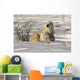 Polar Bear With Cub, Watchee, Churchill, Canada Wall Mural