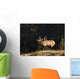 Elk In Forest, Banff National Park, Alberta, Canada Wall Mural