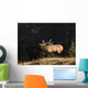 Elk In Forest, Banff National Park, Alberta, Canada Wall Mural