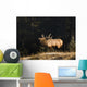 Elk In Forest, Banff National Park, Alberta, Canada Wall Mural