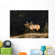 Elk In Forest, Banff National Park, Alberta, Canada Wall Mural
