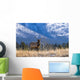 Elk In Forest, Banff National Park, Alberta, Canada Wall Mural