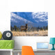 Elk In Forest, Banff National Park, Alberta, Canada Wall Mural