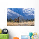 Elk In Forest, Banff National Park, Alberta, Canada Wall Mural