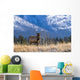 Elk In Forest, Banff National Park, Alberta, Canada Wall Mural