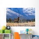 Elk In Forest, Banff National Park, Alberta, Canada Wall Mural