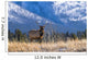 Elk In Forest, Banff National Park, Alberta, Canada Wall Mural