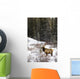 Elk In Winter Forest, Banff National Park, Alberta, Canada Wall Mural