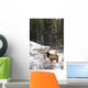 Elk In Winter Forest, Banff National Park, Alberta, Canada Wall Mural