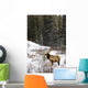 Elk In Winter Forest, Banff National Park, Alberta, Canada Wall Mural