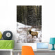 Elk In Winter Forest, Banff National Park, Alberta, Canada Wall Mural