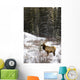 Elk In Winter Forest, Banff National Park, Alberta, Canada Wall Mural