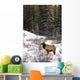Elk In Winter Forest, Banff National Park, Alberta, Canada Wall Mural