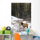Elk In Winter Forest, Banff National Park, Alberta, Canada Wall Mural