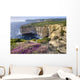 Cliffs Along Ocean With Wildflowers Wall Mural