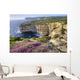 Cliffs Along Ocean With Wildflowers Wall Mural