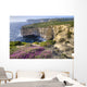 Cliffs Along Ocean With Wildflowers Wall Mural