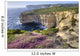 Cliffs Along Ocean With Wildflowers Wall Mural