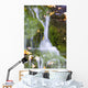 Crystal Springs Waterfall At Oregon Of America Wall Mural