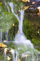 Crystal Springs Waterfall At Oregon Of America Wall Mural