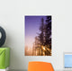 Sun Shining Through Trees Wall Mural