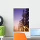 Sun Shining Through Trees Wall Mural
