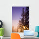 Sun Shining Through Trees Wall Mural