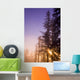 Sun Shining Through Trees Wall Mural