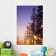 Sun Shining Through Trees Wall Mural