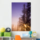 Sun Shining Through Trees Wall Mural