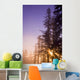 Sun Shining Through Trees Wall Mural