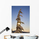 Sunlight Through Snow-Covered Tree Wall Mural