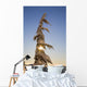 Sunlight Through Snow-Covered Tree Wall Mural