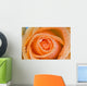 Orange Rose With Dew Wall Mural