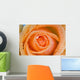 Orange Rose With Dew Wall Mural