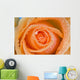 Orange Rose With Dew Wall Mural