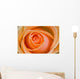 Orange Rose Wall Mural