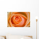 Orange Rose Wall Mural